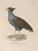 Reis rond de wereld Pl142 - Louis-Isidore Duperrey — weergave van het kunstwerk
