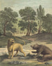 La Lionne En De Beer Het Leeuw En De Beer - Louis-Simon Lempereur — weergave van het kunstwerk