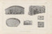 van Onderzoek naar fossiele vissen Pl261 - Louis Agassiz — weergave van het kunstwerk