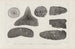 Recherches sur les poissons fossiles Pl265 - Louis Agassiz — weergave van het kunstwerk