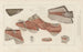 van Onderzoek naar fossiele vissen Pl276 - Louis Agassiz — weergave van het kunstwerk