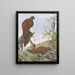 Pheasant peacock with bronze tail from Malaysia - Louis Agassiz Fuertes — framed artwork on a wall