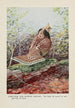 Strutter le Tétras huppé - Louis Agassiz Fuertes — weergave van het kunstwerk