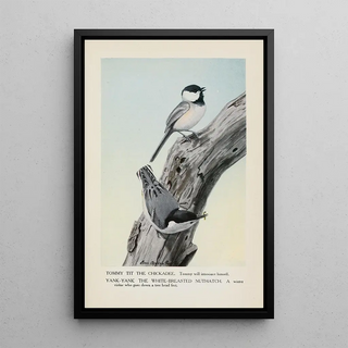 Louis Agassiz Fuertes - Tommy Tit the Chickadee YankYank the WhiteBreasted Nuthatch.webp