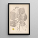 Herbier de la flore française Pl0029 - Louis Antoine Cusin — ingelijst kunstwerk aan de muur