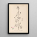 Herbier de la flore française Pl0033 - Louis Antoine Cusin — ingelijst kunstwerk aan de muur
