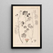 Herbier de la flore française Pl0035 - Louis Antoine Cusin — ingelijst kunstwerk aan de muur