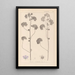 Herbier de la flore française Pl0041 - Louis Antoine Cusin — ingelijst kunstwerk aan de muur