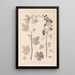 Herbier de la flore française Pl0047 - Louis Antoine Cusin — ingelijst kunstwerk aan de muur
