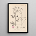 Herbier de la flore française Pl0052 - Louis Antoine Cusin — ingelijst kunstwerk aan de muur