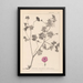 Herbier de la flore française Pl0068 - Louis Antoine Cusin — ingelijst kunstwerk aan de muur
