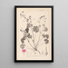 Herbier de la flore française Pl0071 - Louis Antoine Cusin — ingelijst kunstwerk aan de muur