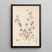 Herbier de la flore française Pl0083 - Louis Antoine Cusin — ingelijst kunstwerk aan de muur