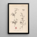 Herbier de la flore française Pl0093 - Louis Antoine Cusin — ingelijst kunstwerk aan de muur