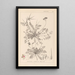 Herbier de la flore française Pl0094 - Louis Antoine Cusin — ingelijst kunstwerk aan de muur