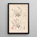 Herbier de la flore française Pl0097 - Louis Antoine Cusin — ingelijst kunstwerk aan de muur