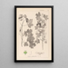Herbier de la flore française Pl0122 - Louis Antoine Cusin — ingelijst kunstwerk aan de muur
