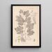 Herbier de la flore française Pl0124 - Louis Antoine Cusin — ingelijst kunstwerk aan de muur