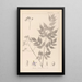 Herbier de la flore française Pl0126 - Louis Antoine Cusin | Reproduction — ingelijst kunstwerk aan de muur