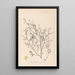 Herbier de la flore française Pl0138 - Louis Antoine Cusin — ingelijst kunstwerk aan de muur