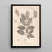 Herbier de la flore française Pl0142 - Louis Antoine Cusin — ingelijst kunstwerk aan de muur