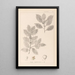 Herbier de la flore française Pl0144 - Louis Antoine Cusin — ingelijst kunstwerk aan de muur
