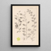 Herbier de la flore française Pl0146 - Louis Antoine Cusin — ingelijst kunstwerk aan de muur
