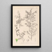 Herbier de la flore française Pl0149 - Louis Antoine Cusin — ingelijst kunstwerk aan de muur