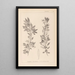 Herbier de la flore française Pl0155 - Louis Antoine Cusin — ingelijst kunstwerk aan de muur