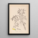 Herbier de la flore française Pl0163 - Louis Antoine Cusin — ingelijst kunstwerk aan de muur