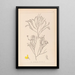 Herbier de la flore française Pl0173 - Louis Antoine Cusin — ingelijst kunstwerk aan de muur