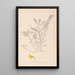Herbier de la flore française Pl0214 - Louis Antoine Cusin — ingelijst kunstwerk aan de muur