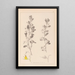 Herbier de la flore française Pl0217 - Louis Antoine Cusin — ingelijst kunstwerk aan de muur