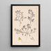 Herbier de la flore française Pl0218 - Louis Antoine Cusin — ingelijst kunstwerk aan de muur