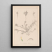 Herbier de la flore française Pl0296 - Louis Antoine Cusin — ingelijst kunstwerk aan de muur