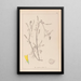 Herbier de la flore française Pl0305 - Louis Antoine Cusin — ingelijst kunstwerk aan de muur