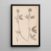 Herbier de la flore française Pl0326 - Louis Antoine Cusin — ingelijst kunstwerk aan de muur