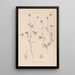 Herbier de la flore française Pl0329 - Louis Antoine Cusin — ingelijst kunstwerk aan de muur