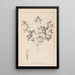 Herbier de la flore française Pl0331 - Louis Antoine Cusin — ingelijst kunstwerk aan de muur