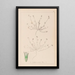 Herbier de la flore française Pl0337 - Louis Antoine Cusin — ingelijst kunstwerk aan de muur