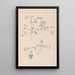 Herbier de la flore française Pl0349 - Louis Antoine Cusin — ingelijst kunstwerk aan de muur