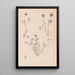 Herbier de la flore française Pl0357 - Louis Antoine Cusin — ingelijst kunstwerk aan de muur