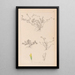 Herbier de la flore française Pl0365 - Louis Antoine Cusin — ingelijst kunstwerk aan de muur