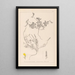 Herbier de la flore française Pl0378 - Louis Antoine Cusin — ingelijst kunstwerk aan de muur