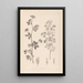 Herbier de la flore française Pl0381 - Louis Antoine Cusin — ingelijst kunstwerk aan de muur