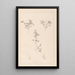 Herbier de la flore française Pl0401 - Louis Antoine Cusin — ingelijst kunstwerk aan de muur