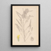 Herbier de la flore française Pl0407 - Louis Antoine Cusin — ingelijst kunstwerk aan de muur