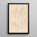 Herbier de la flore française Pl0409 - Louis Antoine Cusin — ingelijst kunstwerk aan de muur
