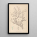 Herbier de la flore française Pl0421 - Louis Antoine Cusin — ingelijst kunstwerk aan de muur