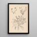 Herbier de la flore française Pl0426 - Louis Antoine Cusin — ingelijst kunstwerk aan de muur
